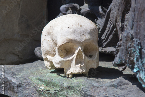 Skull at Camaldoli