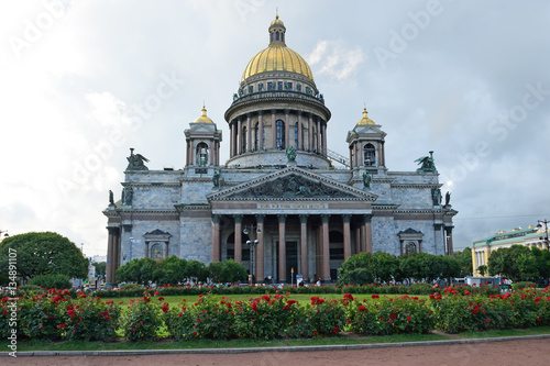 St. Isaac's Cathedral and the growing of a rose on St. Isaac's s