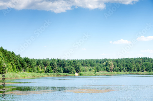 pine forest landscape against the blue sky and the lake