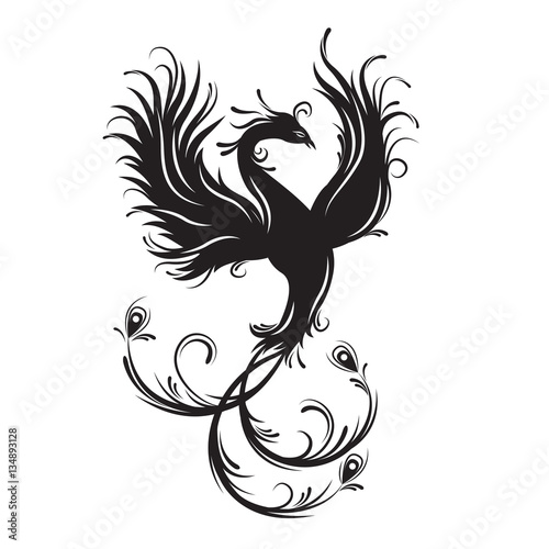 Phoenix bird silhouette. Symbol of immortality. Fiery bird. Tribal vector illustration.  Isolated on white background.