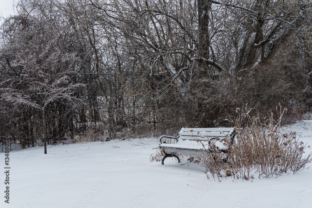 bench in park covered in ice and icicles after winter storm
bench in park covered in ice and icicles after winter storm