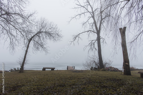 Fogged Lake