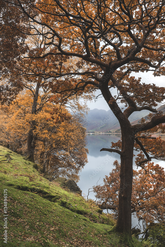 Beautiful Autumn Fall landscape image of Lake Buttermere in Lake Beautiful Autumn Fall landscape image of Lake Buttermere in Lake