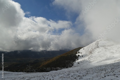 Fototapeta Naklejka Na Ścianę i Meble -  Połonina Wetlińska Bieszczady