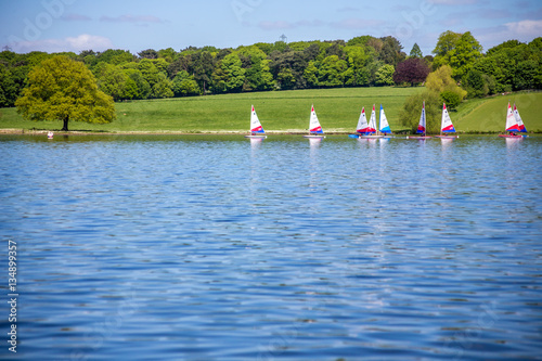 Vászonkép Sailing boats on Budworth Mere Cheshire