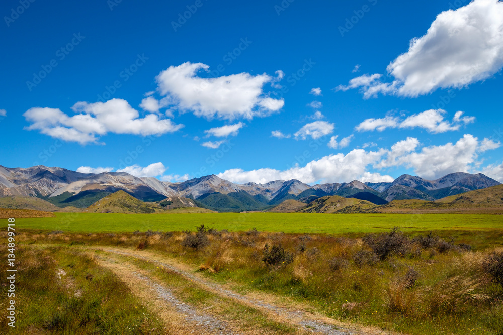 Beautiful landscape view of mountains and meadow, New Zealand