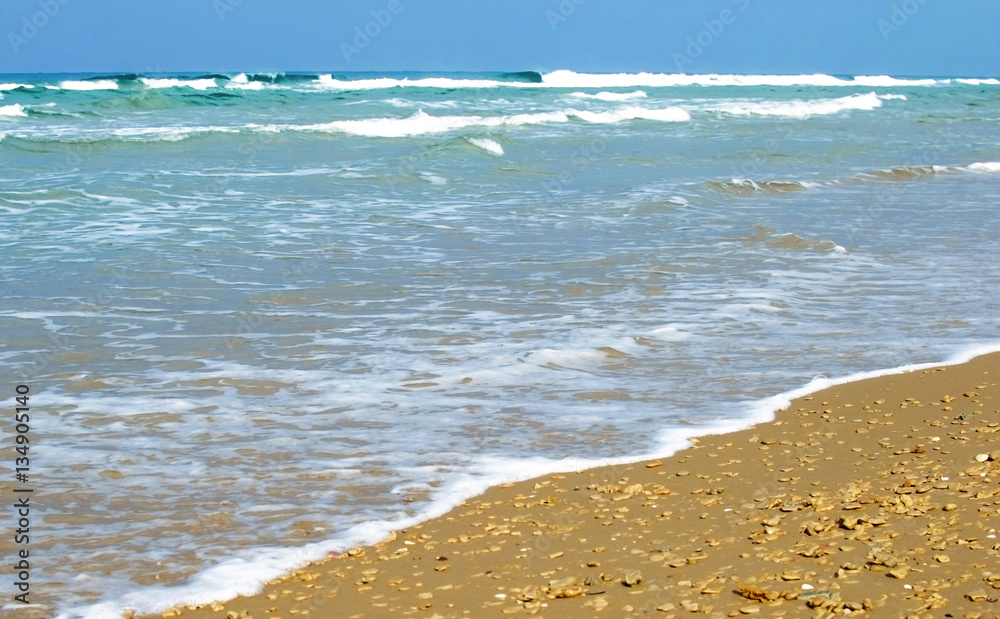 Sandy beach against the backdrop of sea Sandy beach against the backdrop of sea