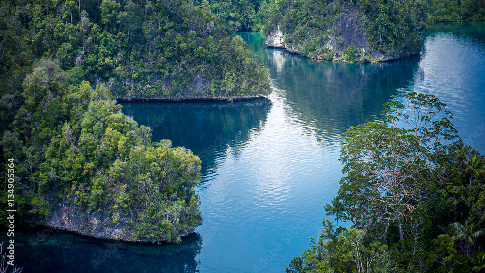 Many Rocks covered by Palmtrees in Passage between Gam and Waigeo, View Point near Warikaf Homestay. West Papuan, Raja Ampat, Indonesia