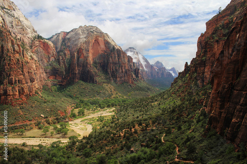 The lush green canyon floor at Zion National Park in Utah.