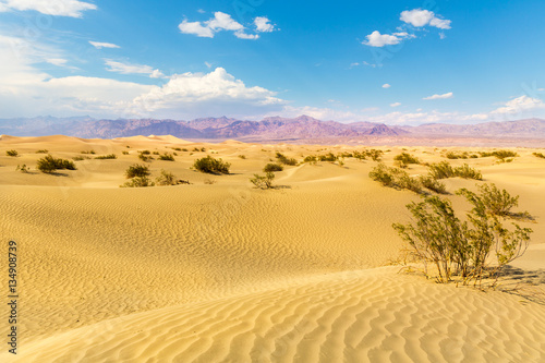 Sand dunes against mountains on background