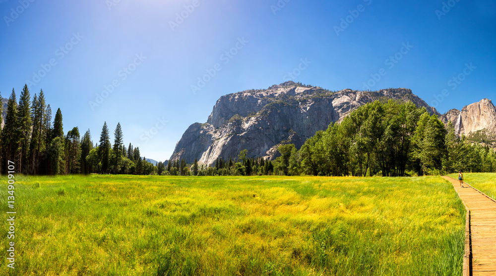 Meadow and trees surrounded by rocky mountains