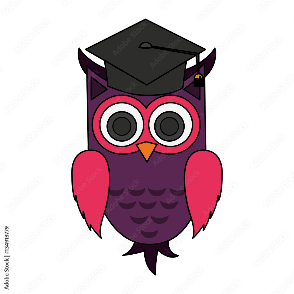 owl with graduation cap over white background. colorful design. vector illustration