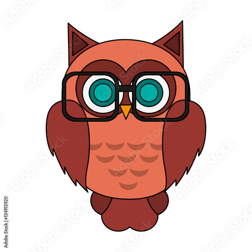 owl with glasses over white background. colorful design. vector illustration