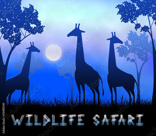 Wildlife Safari Showing Animal Reserve 3d Illustration