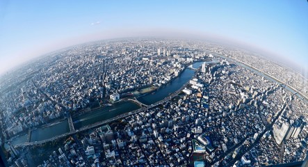 Fototapete Luftbild Tokio Skyline vom Sumida Tower  © aquamarine4