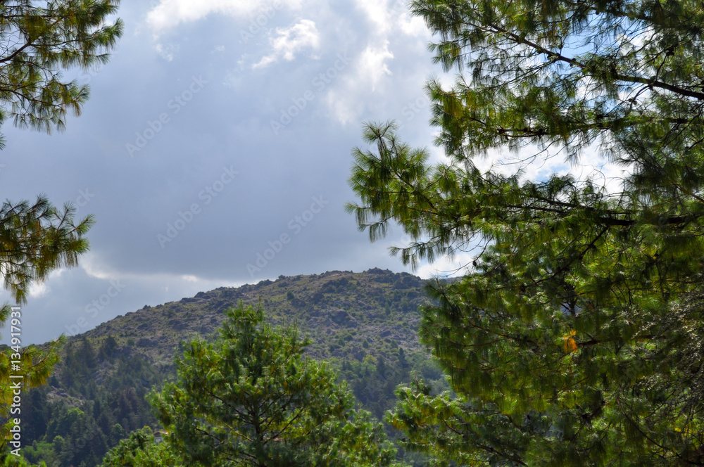 Obraz premium Hills Landscape in Villa General Belgrano, Cordoba, Argentina