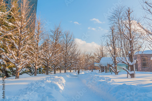 Sapporo in winter season