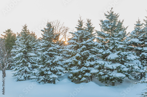 Sapporo in winter season
