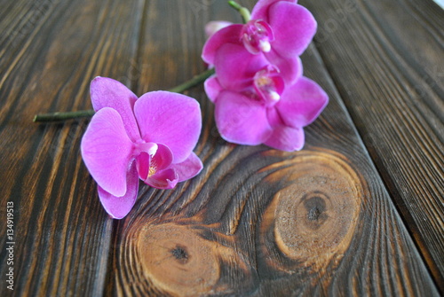 Orchidea na rustykalnych deskach