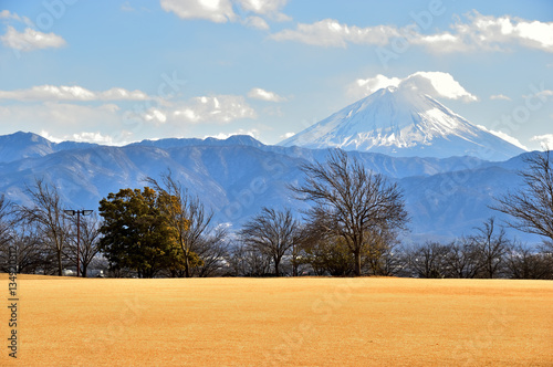 ドラゴンパーク（赤坂台総合公園）からの富士山