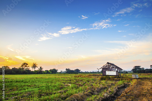 Landscape of rural field at sunset