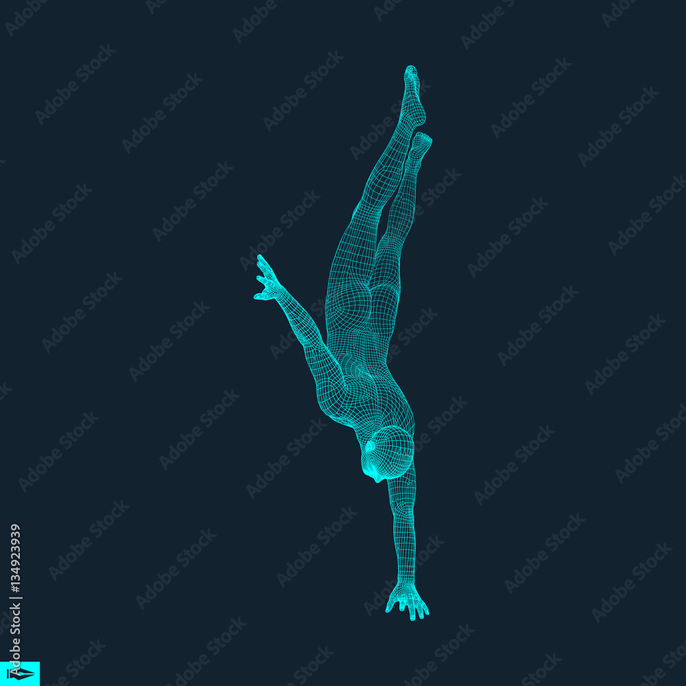 Obraz premium Gymnast. Man. 3D Model of Man. Human Body Model.