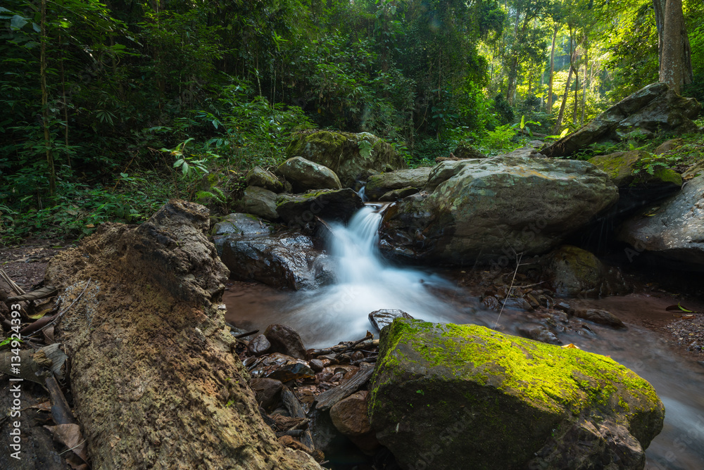 Obraz premium The stream flows from Jum Pan Tong waterfall is located in Doi Luang national park, Baan Tum subdistrict of Payao province, Thailand.