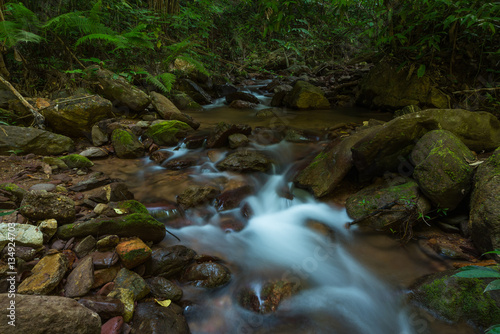 The stream flows from Mae Yian waterfall is located in Doi Luang national park, Ban Mai district of Payao province, Thailand.