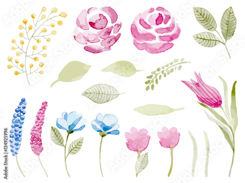 Watercolor vector set of decorative floral elements. Floral set 