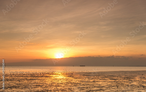 Tranquil scene with seagull flying at sunset © prakhob_khonchen