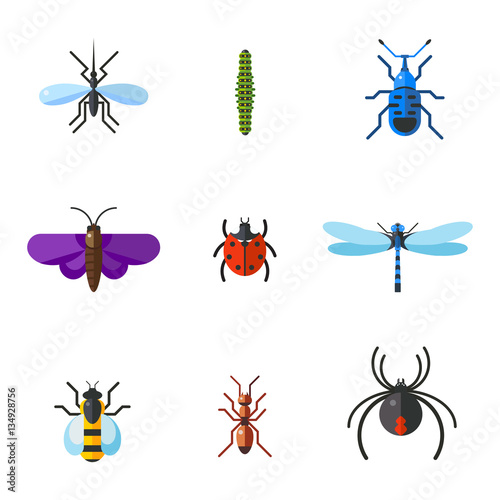 Insect icon flat set isolated on white background © Vectorvstocker