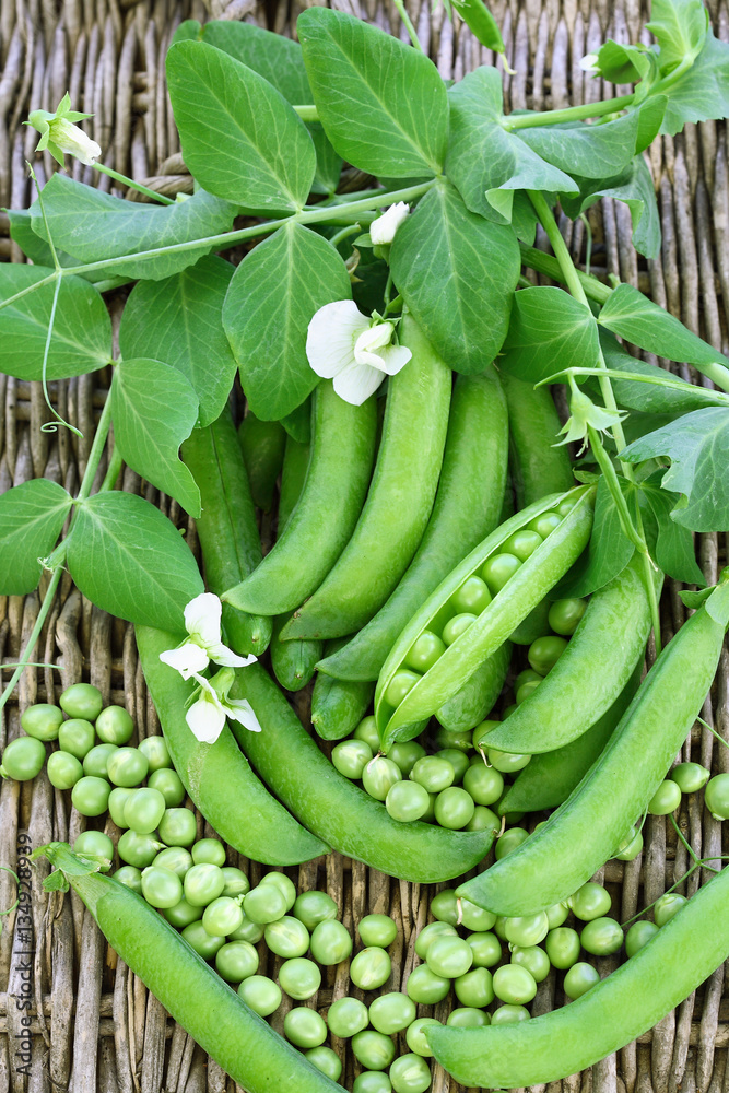 Fresh organic green peas