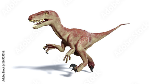 running Dromaeosaur dinosaur  3d illustration isolated with shadow on white background 