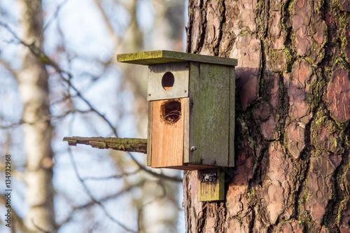 Bild auf Leinwand Birdhouse with two holes