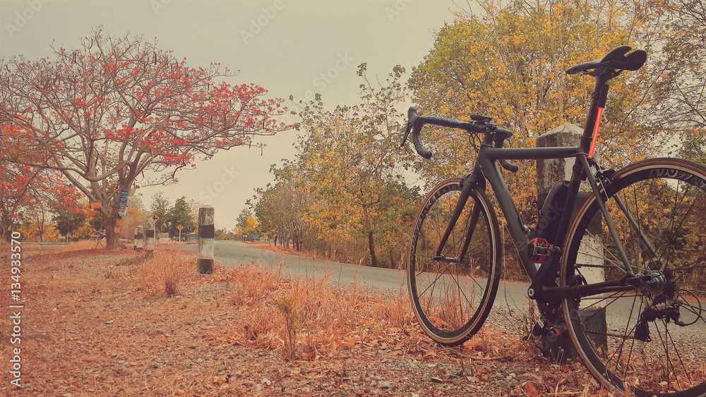 Obraz premium riding a bicycle
