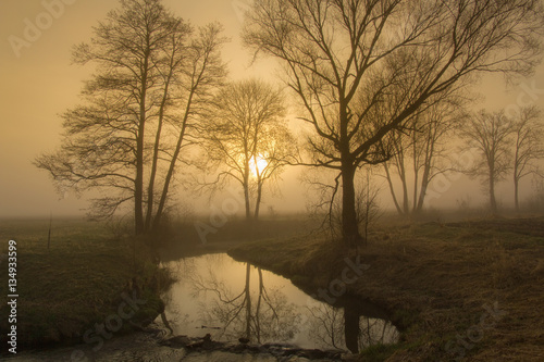 Moody yellow orange tinted sunrise in Bavaria with sun shining through trees and a stream mirroring the scenery