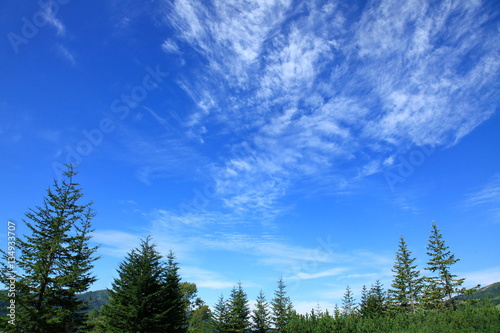 北海道