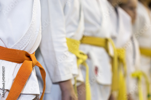 Children in kimono sitanding in a line on martial arts class