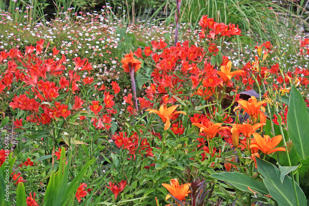 Naklejka premium Flowerbed in summer