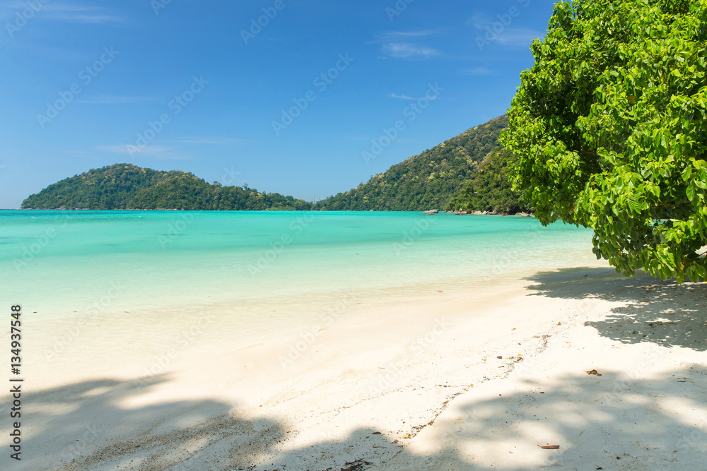 Fototapeta premium Beautiful beach at Surin island,Surin national park Thailand