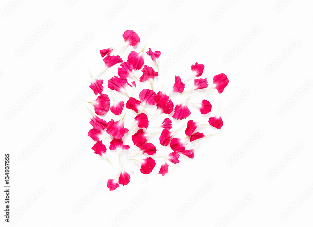 Carnations flowers in heart shape arrangment on white background Carnations flowers in heart shape arrangment on white background