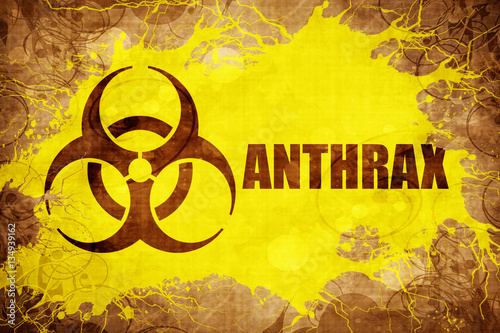 Grunge vintage Anthrax photo