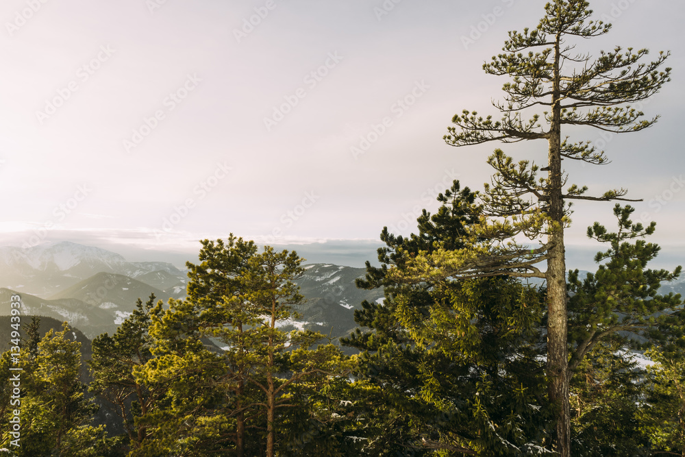 Naklejka premium Blick auf die Voralpen mit Schneeberg im Winter