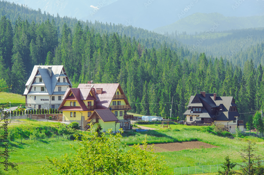 Fototapeta premium Guest house in the traditional mountain style and mountain landscape.