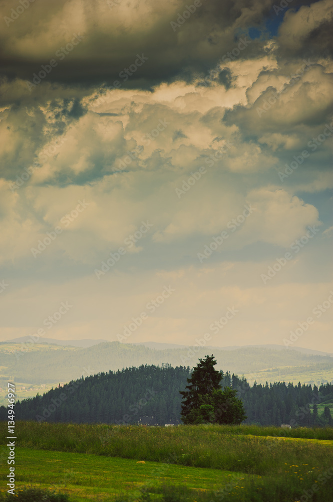 Hills covered with green grass under blue sky Hills covered with green grass under blue sky