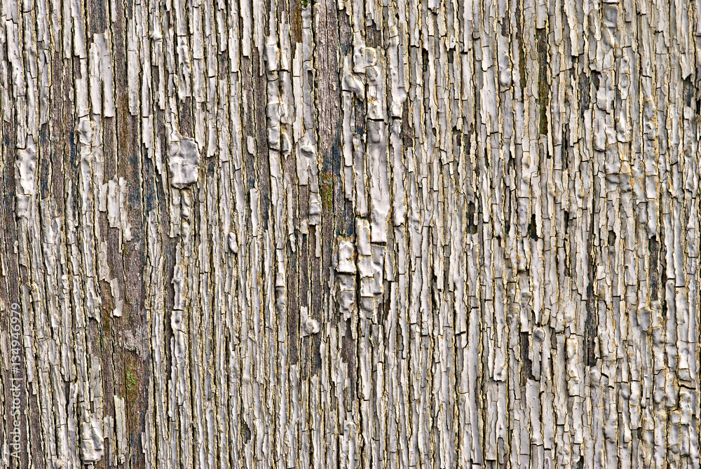 Obraz premium The old cracked paint on a board