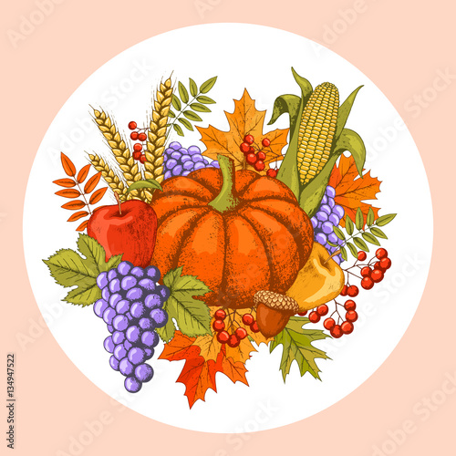 Autumn Seasonal Thanksgiving Day Concept with Pumpkin Corn and G