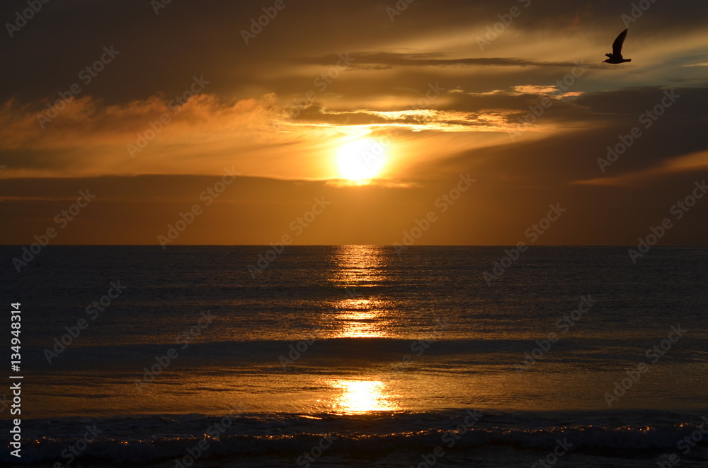 Sunrise at Baltic Sea in the summer