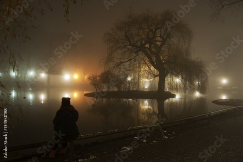 Teich bei Nacht photo