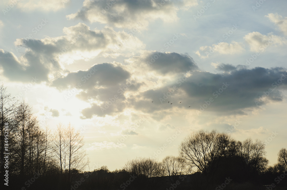 Sky background at the sunset